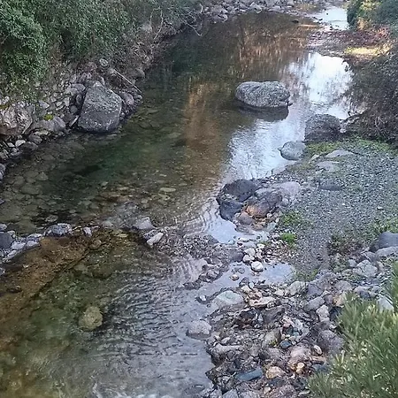 לינה וארוחת בוקר D'hotes Multari