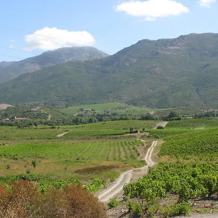 D'hotes Multari Bed & Breakfast Patrimonio