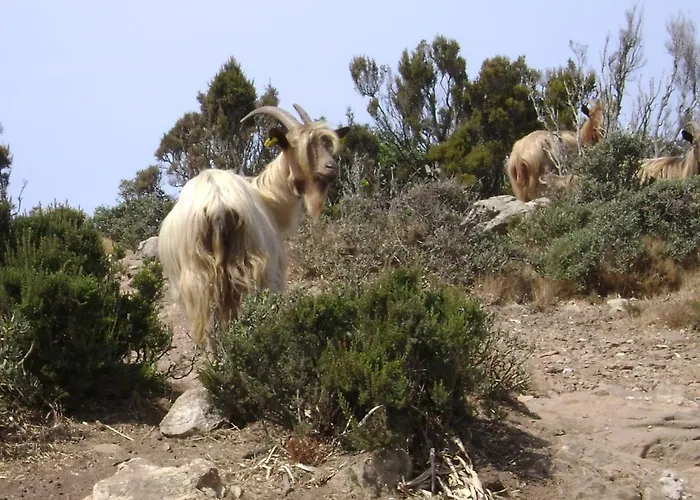 D'hotes Multari ベッド・アンド・ブレックファスト