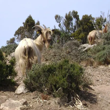 D'hotes Multari ベッド・アンド・ブレックファスト