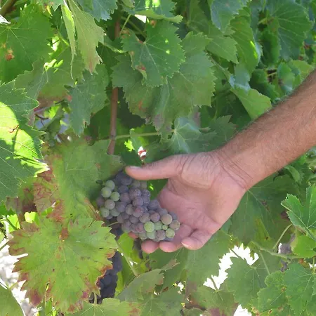 D'hotes Multari パトリモニオ