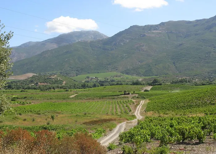 D'hotes Multari Bed & Breakfast Patrimonio