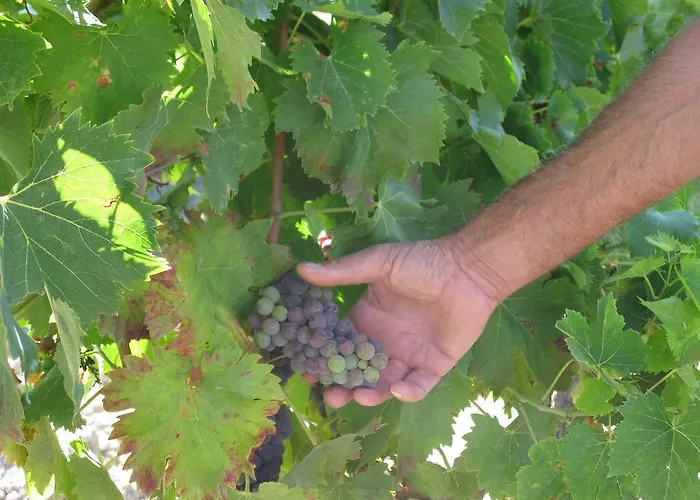 D'hotes Multari Patrimonio